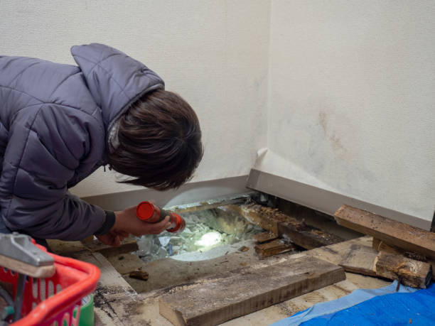 Best Post-Remediation Verification Testing  in Circleville, OH