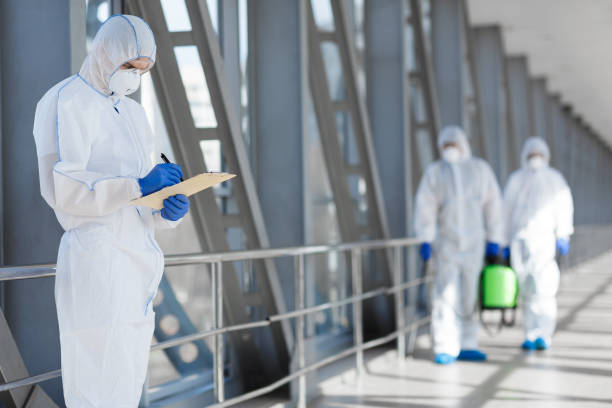 Best Basement Mold Removal  in Circleville, OH