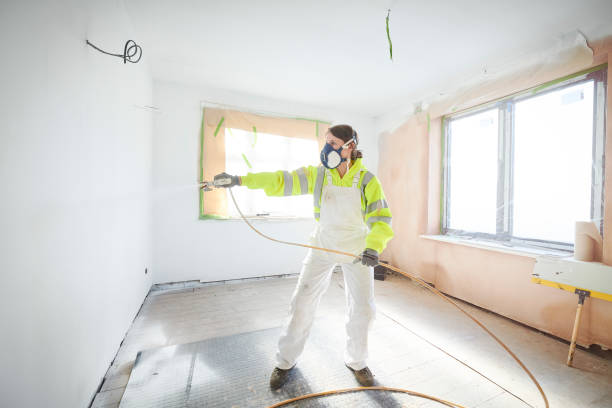 Best Mold Odor Removal Services  in Circleville, OH