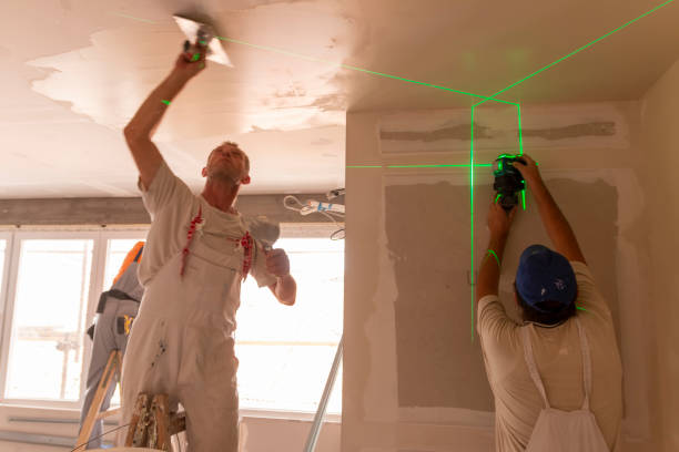 Best Crawl Space Mold Remediation  in Circleville, OH