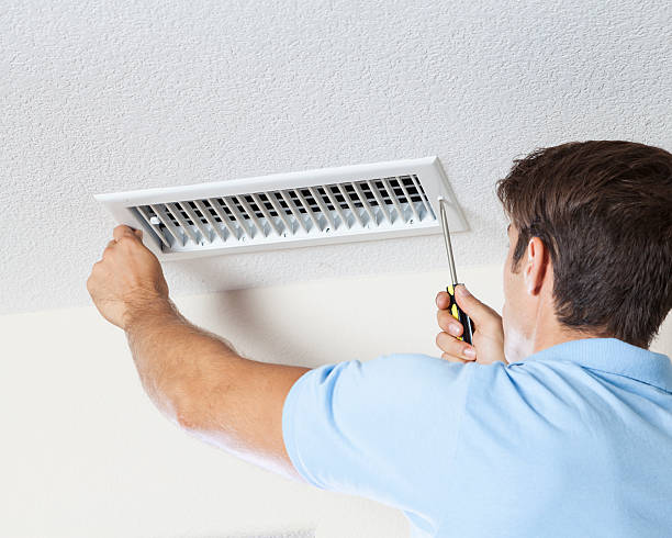 Best Mold Prevention Services  in Circleville, OH