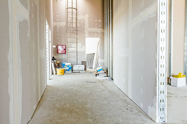 Best Black Mold Removal  in Circleville, OH